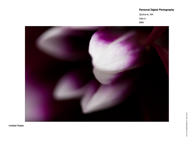 personal photography